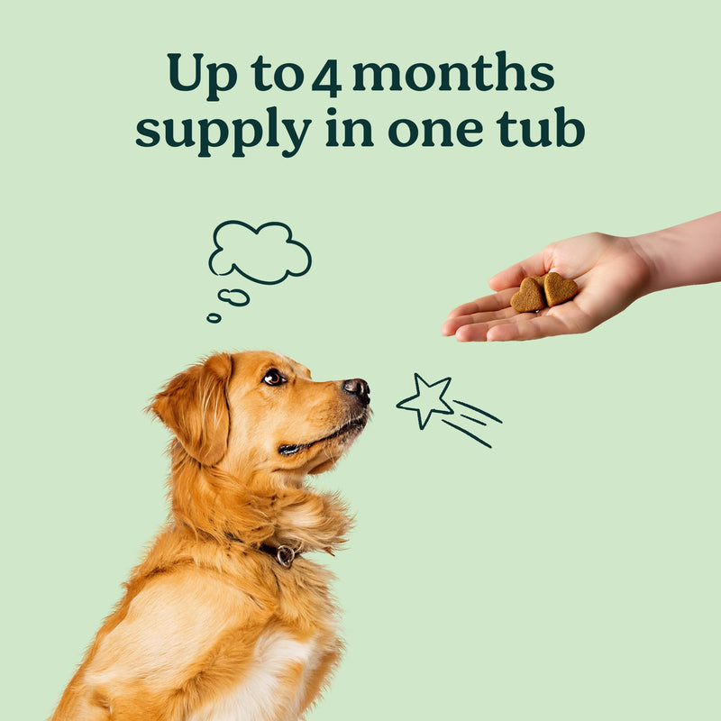 PureBlend Hip & Joint Soft Chews for Dogs — With Glucosamine, Chondroitin, Green Lipped Mussel & MSM — Joint Supplement for Dogs — 120 Chews, Up to 4 Month Supply