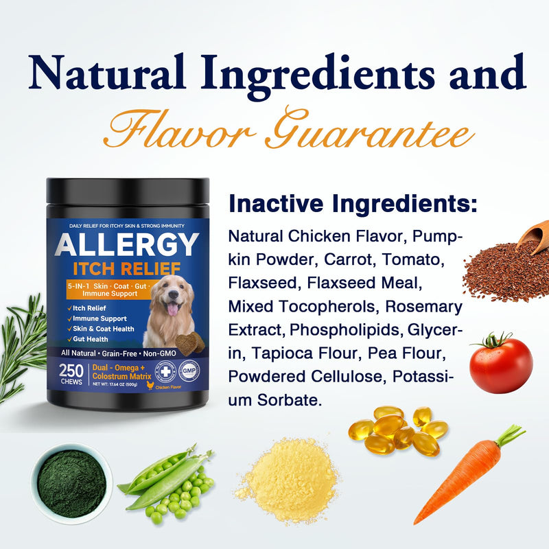 Dog Allergy Chews,is Omega 3 Human,Anti Itch Relief for Dogs Itching Skin Relief and Aller Immune Pet Multivitamin Allergy Chews Coat Licking Supplement Pills Meds Treats 250 Bites for Dogs 2 g/capsule 250pcs