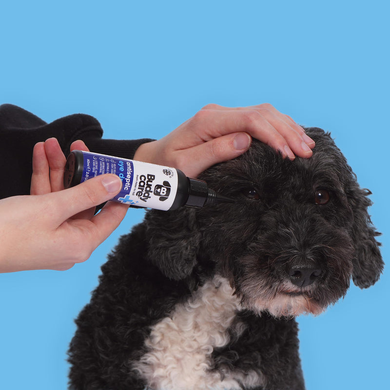 Buddycare Dog Eye Drops for Infection Vet Approved Lick-Safe Formula for Dogs & Cats to Provide Soothing to Irritated, Itchy Watery Eyes - Antibacterial, Antifungal & Antiviral Formula (60ml)