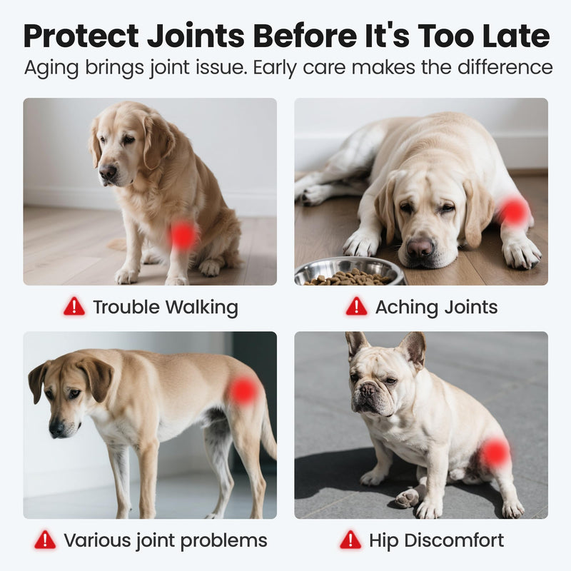Glucosamine for Dogs Hip and Joint Supplement Soft Chews, Chondroitin Joint Supplement with MSM, Green-lipped Mussels for Small Medium & Large Dogs -100 Ct