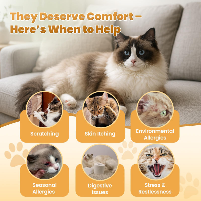 Chews for Cats Bundle-Cat Allergy Relief +Natural Skin and Coat Support for Cats for Digestive & Gut Support-Cat Supplements Omega 3 & Probiotic & Vitamins -Chicken