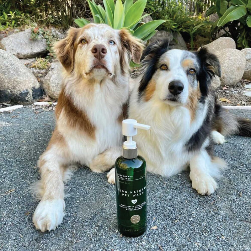 Nontre, Pet Wash, Lemongrass & Tea Tree, Protective & Deodorising Pet Wash, 500mL (16.9 FL Oz) - BeesActive Australia
