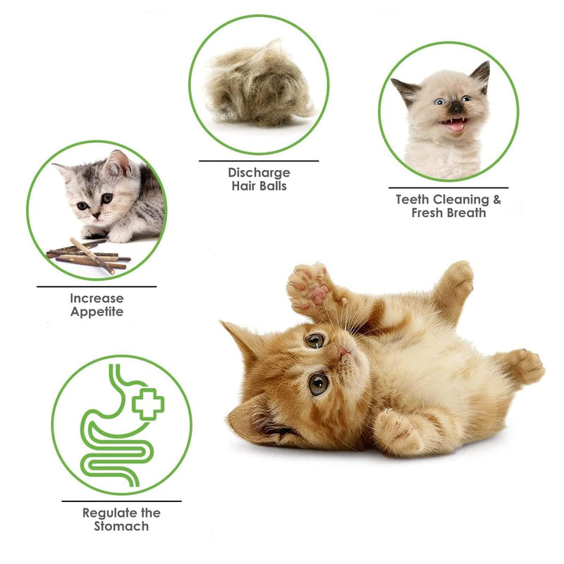 YHT 6Pcs Natural Catnip Toys Chewing Silvervine Chew Sticks for Cat Indoor Teeth Cleaning Stress Release Toy for Kitten Teething
