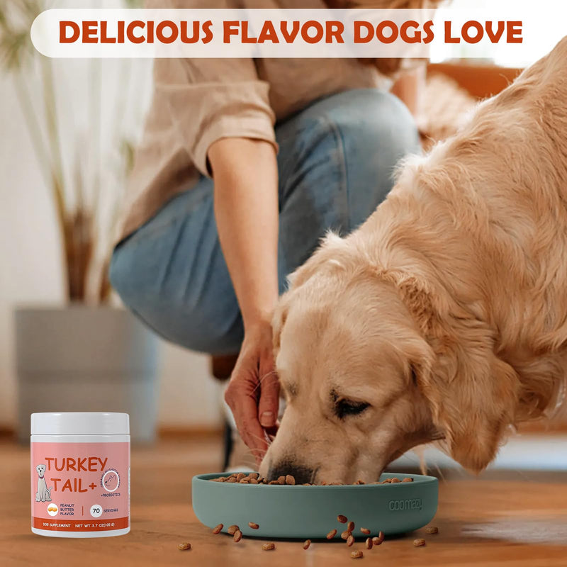 Pet Turkey Tail Mushroom for Dogs, Effective Buddy Guard for Dogs Lumps and Bumps, Dog Turkey Tail Mushroom Supplements with Soothing Skin Irritation-3.7 OZ / 70 Scoops Peanut Butter