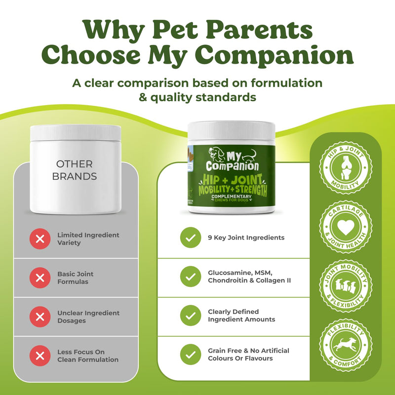 MyCompanion Hip & Joint Supplement for Dogs – Glucosamine, Turmeric & MSM – Supports Mobility, Flexibility & Joint Health – 120 Chicken Flavour Chews, 300g