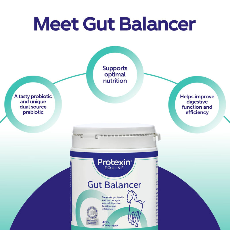 Protexin Equine Horse & Pony Gut Balancer, 400g, Advanced Digestive Support Single
