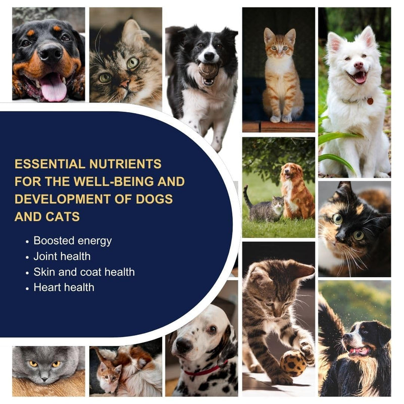 Omega 3 for Dogs and Cats OMEGOR Pet with EPA and DHA from Purified Fish Oil – Omega3 IFOS Certified - 60 Capsules to Keep Your Pet's Hair and Joints Healthy 60 unità (Confezione da 1)