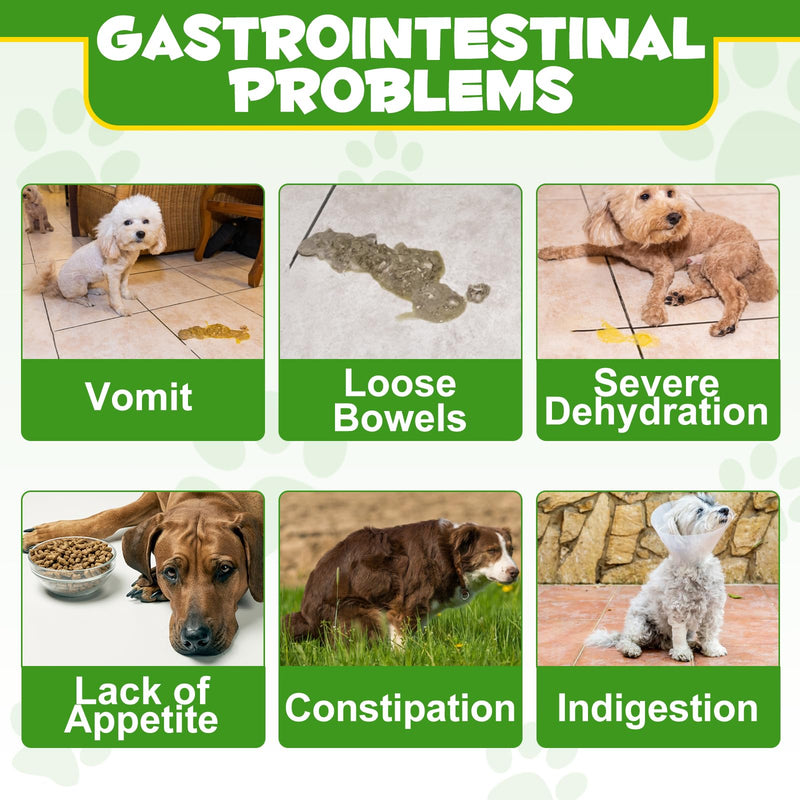 Dog Probiotic Powder - Rich In Prebiotics - 12 Strains Of Beneficial Bacteria, Support Healthy Digestion, Balance Gut Microbiota, Strengthen Immunity, No Gluten Or Dairy 120g