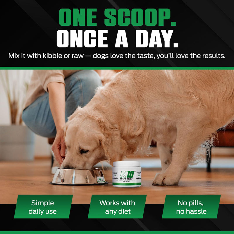 K10 Amino Acids for Dogs – All-in-One Cellular-Level Amino Acids Supplement for Joints, Muscles, Immunity, Digestion, Skin & Coat – Dog Supplement to Support Vitality, Strength, Recovery & Wellness