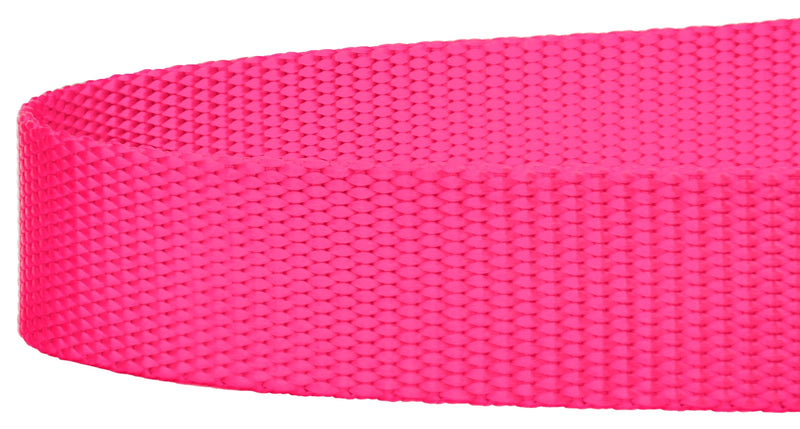 Country Brook Petz 1" Wide Heavy-Duty Nylon Leash for Dogs - Traditional Style Durable Leash with Easy-to-Use Snap - Made in The USA, Hot Pink, 6 Foot 6 Foot X 1 Inch Wide (Pack of 1) - BeesActive Australia