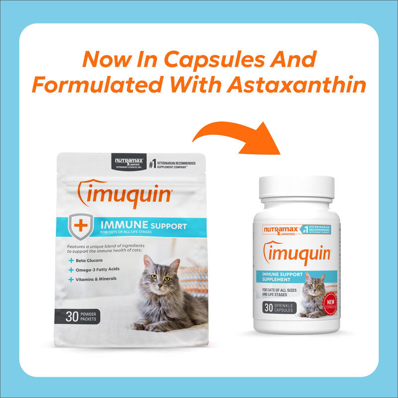Nutramax Imuquin Immune Health Supplement for Cats, with Astaxanthin and Beta Glucans, 30 Sprinkle Capsules 30 capsules