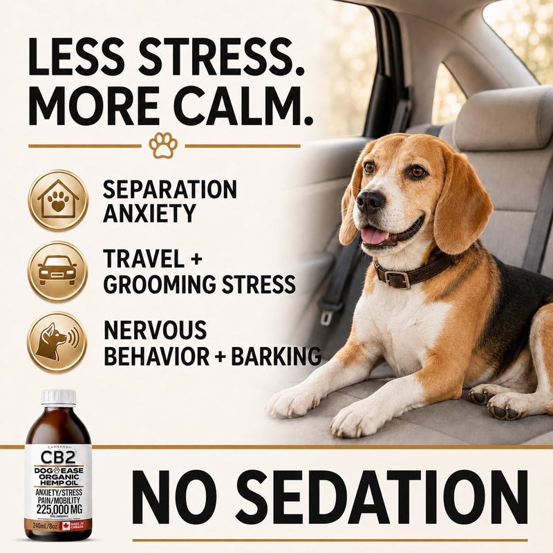 CB2 HEMP SEED OIL FOR DOGS. Extra Strength For Pain & Anxiety. Advanced Hip & Joint Supplement. Calming & Relaxing Effect. Improves Mobility. All-Natural. 240mL/8oz EXTRA LARGE Bottle.