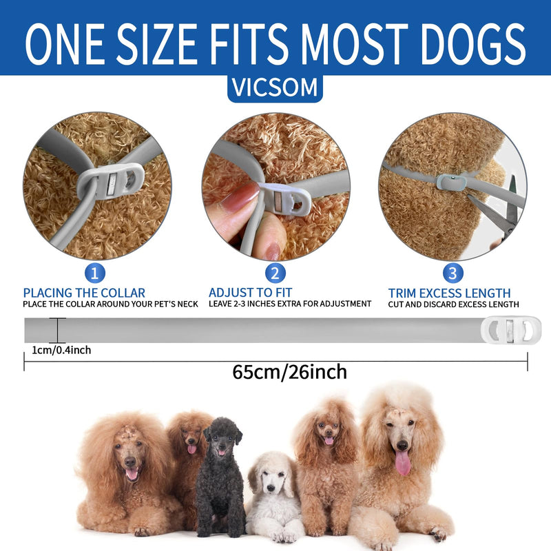 4 Pack Flea Collar for Dogs, Dog Flea and Tick Collar 8 Months Flea and Tick Prevention for Dog, Waterproof Adjustable Puppy Collar Natural Tick and Flea Collars for Small Medium Large Dogs, Grey - BeesActive Australia