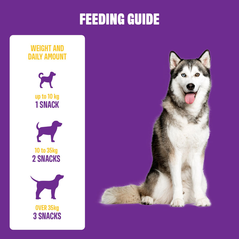 ivvi Vision – Eye Care Snacks for Dogs | With DHA, Astaxanthin, Blueberry & Eyebright | Supports Eye Comfort & Retina Function | 60 Soft Treats (270 g)