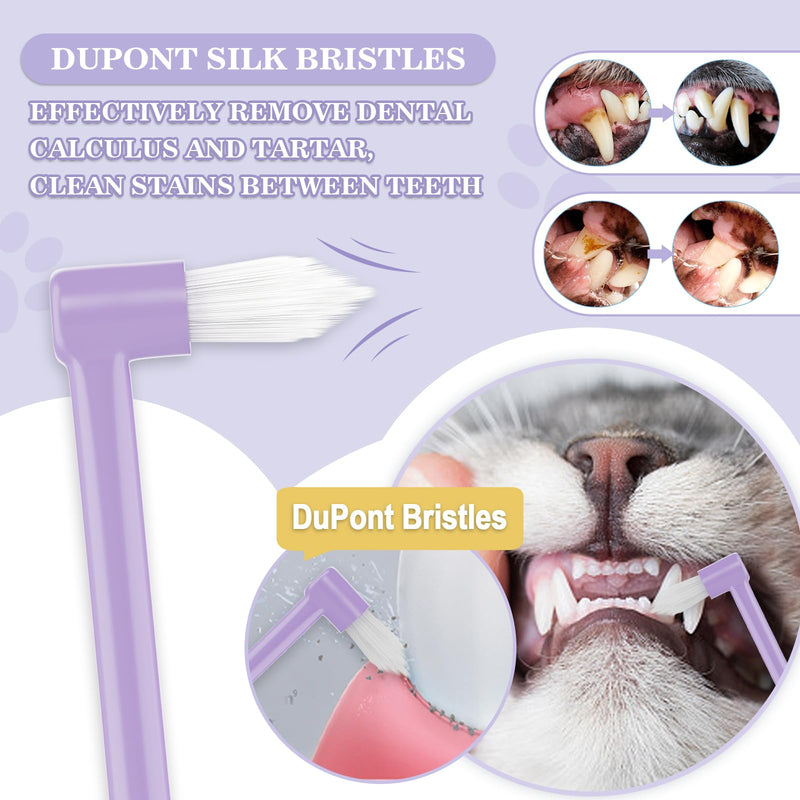 Cat Toothbrush Complete Kitty Dental Care Kit with Teeth Whitening Tracker - Premium Brushes for Cats, Easy Oral Hygiene & Gap Cleaning-cat cat - BeesActive Australia