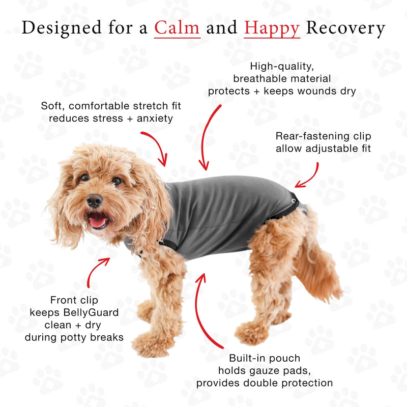 BellyGuard dog body after surgery bitch, surgical body dog castration male, leak protection for dogs after surgery, dog body surgery bitch gray S - BeesActive Australia