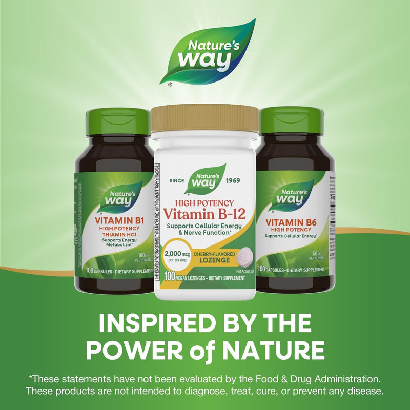 Nature’s Way High Potency Vitamin B-12 Lozenges, 2,000 mcg Vitamin B12 per Lozenge, Supports Cellular Energy & Nerve Function*, No Gluten, Vegan, Cherry Flavored, 100 Count (Packaging May Vary) 100 Count (Pack of 1)