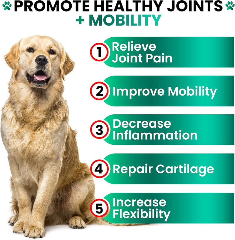 Grateful Pawz Hemp Hip and Joint Supplement for Dogs - Glucosamine for Dogs - 160 Joint Pain Relief Treats - Chondroitin, MSM - Advanced Health Supplement - Beef Liver Flavor - Made in USA 160 Chews
