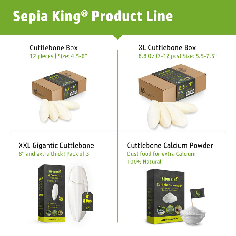 Extra Large - 100% Natural Calcium Supplement - Premium Cuttlebone Perfect for Birds, Tortoises, Snails, Reptiles - Pack of 3 - BeesActive Australia