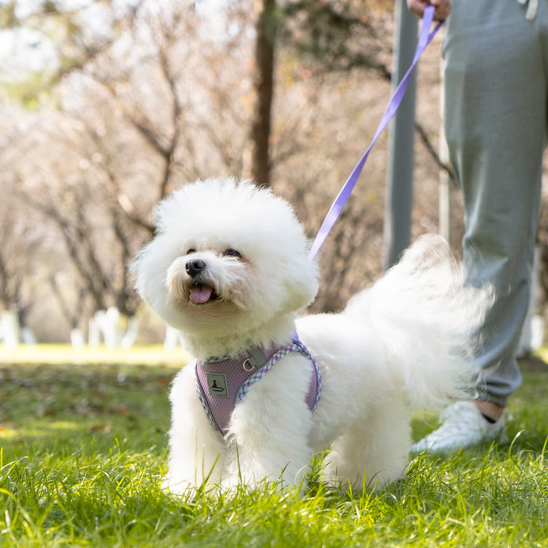 Dog Harness and Leash Set, No Pull Pet Harness for Small Dogs Easy Walking,Soft Breathable Small Dog Harness,Adjustable Reflective Step in Vest Harness for Puppy,Kitten, Cats XX-Small purple - BeesActive Australia