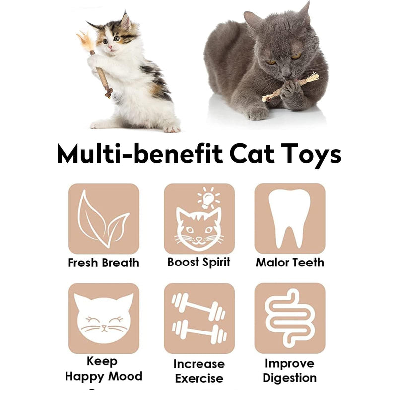 YHT 6Pcs Natural Catnip Toys Chewing Silvervine Chew Sticks for Cat Indoor Teeth Cleaning Stress Release Toy for Kitten Teething