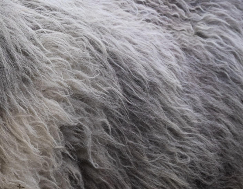 Chimney Sheep "Snug Hoof" Pure Wool Hoof Pads, 20cm, Box of 10