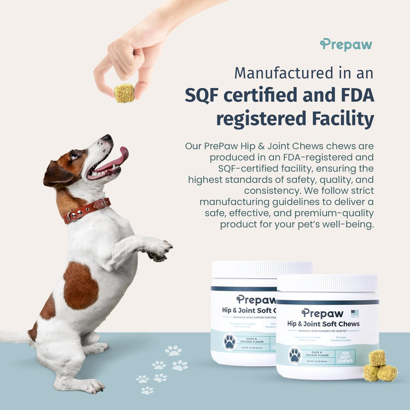 Hip and Joint Supplement for Dogs with Natural Ingredients Glucosamine Chondroitin MSM Turmeric and Collagen Dog Joint Soft Chews for Mobility Support USA Made 120 Count