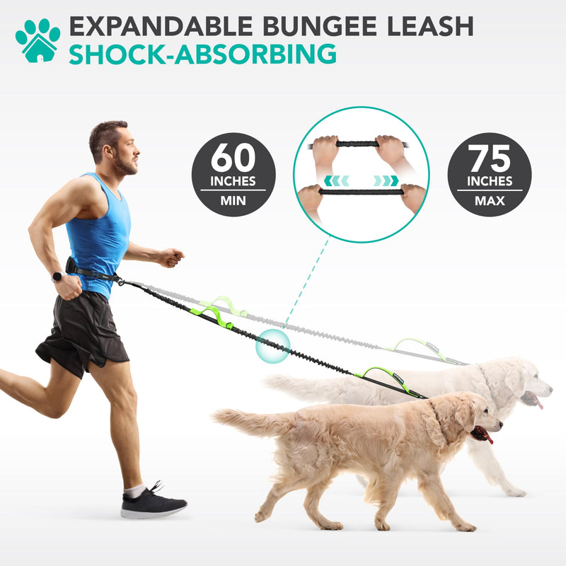 PetAmi Heavy Duty Hands Free Dog Leash, Adjustable Waist Belt for Large Dog Walking Up to 125 lbs, Bungee Leash for Pet Running, Hiking, Reflective Safety for Jogging, Biking, Green Handle 1 Leashes