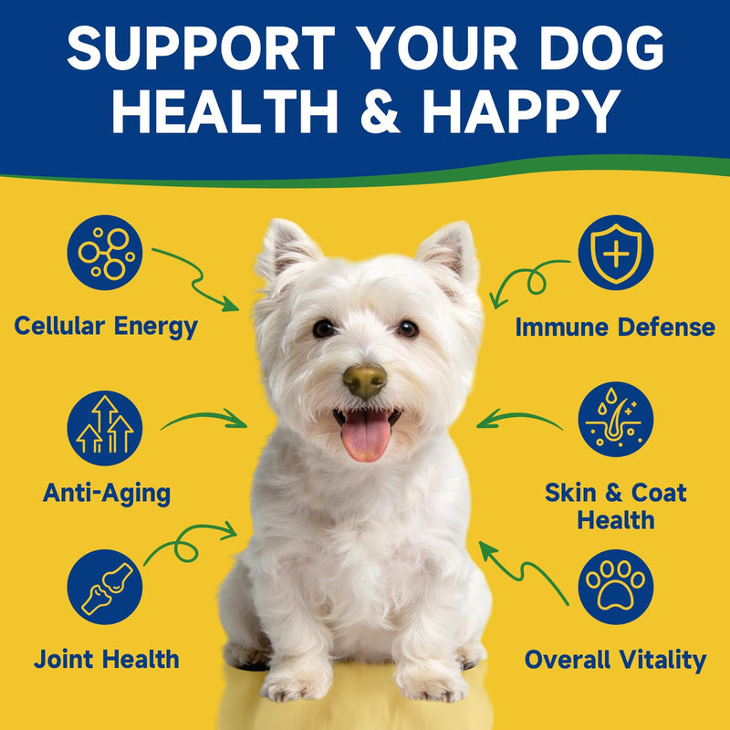 NAD+ for Dogs & Cat Hairball Drops - NAD+ for Longevity Supplements for Dogs Energy, Vitality, Healthy Aging, Cognitive Health - Lysine for Kitten Furball Treatment Supports Skin & Coat, Digestion