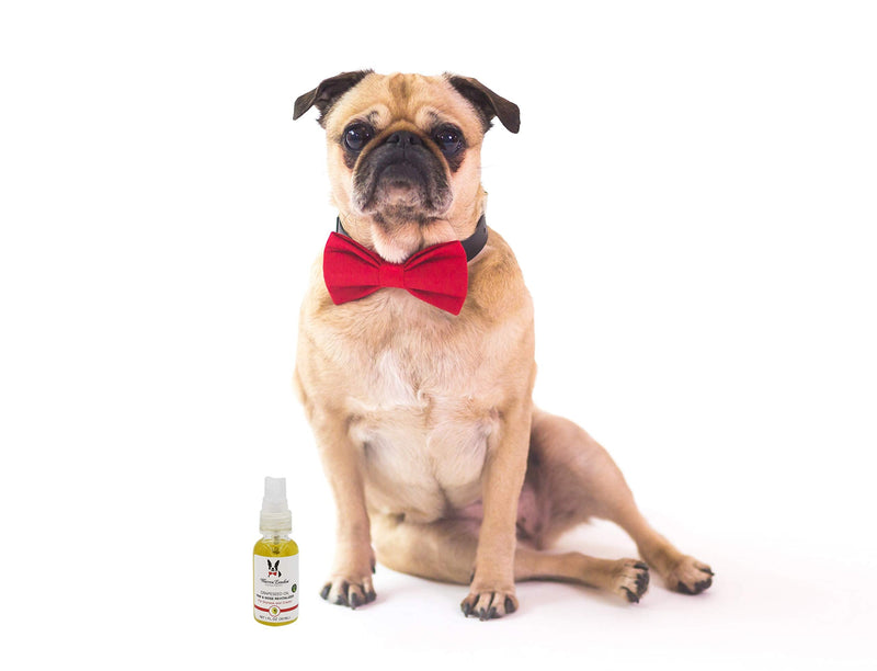 Warren London Nose & Paw Pad Moisturizer for Dogs - Grapeseed Oil & Essential Oil Blend - Instant Relief Revitalizing & Moisturizing Spray for Softer Dog Paws - Made in USA - 1oz - BeesActive Australia