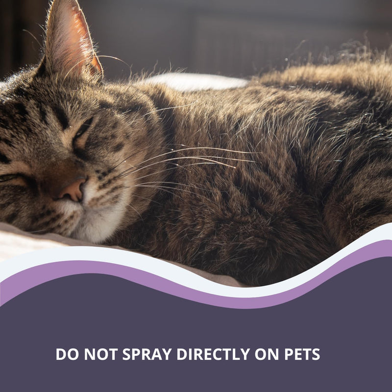Herbal Calming Spray for Pets – 100ml Natural Home & Travel Spray with Lavender, Chamomile, Cedarwood – Reduces Stress & Anxiety in Dogs & Cats – Use on Bedding, Carriers, Blankets