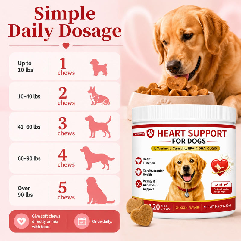 Taurine for Dogs, Heart Support Supplement, Antioxidant - Rich L-Taurine, L-Carnitine, EPA & DHA, CoQ10, Supports Cardiovascular Wellness, Circulation & Heart Function – 120 Chicken Flavour Soft Chews