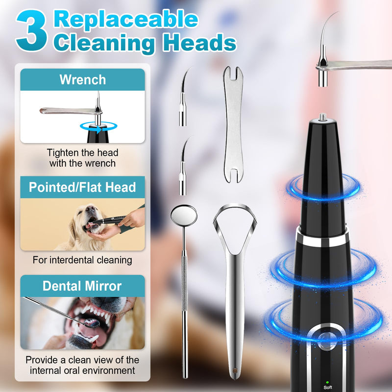 Electric Dog Plaque Remover for Teeth, Pet Teeth Cleaning Kit Products for Tartar & Plaque Off, with LED Light, Rechargeable Pet Dog Tooth Cleaner Dental Care Tools (Ebony)