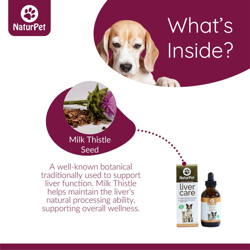 Liver Care for Cats and Dogs | Liver Health & Detox Support | 100 mL Herbal Tincture