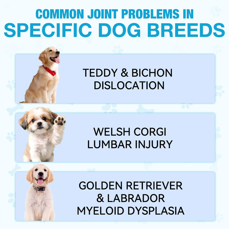 Joint Supplements for Dogs, Pain Relief for Dogs, Dog Joint Supplements for Senior Dogs, Chondroitin Drops for Dogs, Hip & Joint Glucosamine Drops for Dogs, Mobility Pain Relief, Natural Formula, 60ML