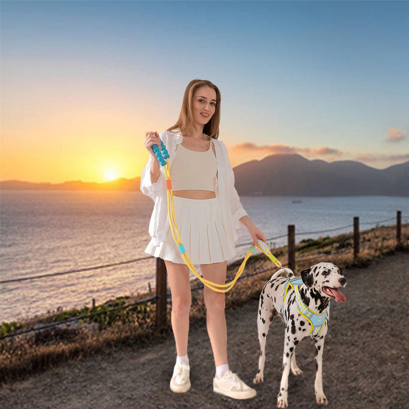 JSXD Dog Leash,5 FT Heavy Duty Dog Training Leash,Double Handle Comfortable Padded Hands Free Dog Leash,Adjustable Crossbody Waist Leash for Small Medium Large Dogs(Yellow) Yellow