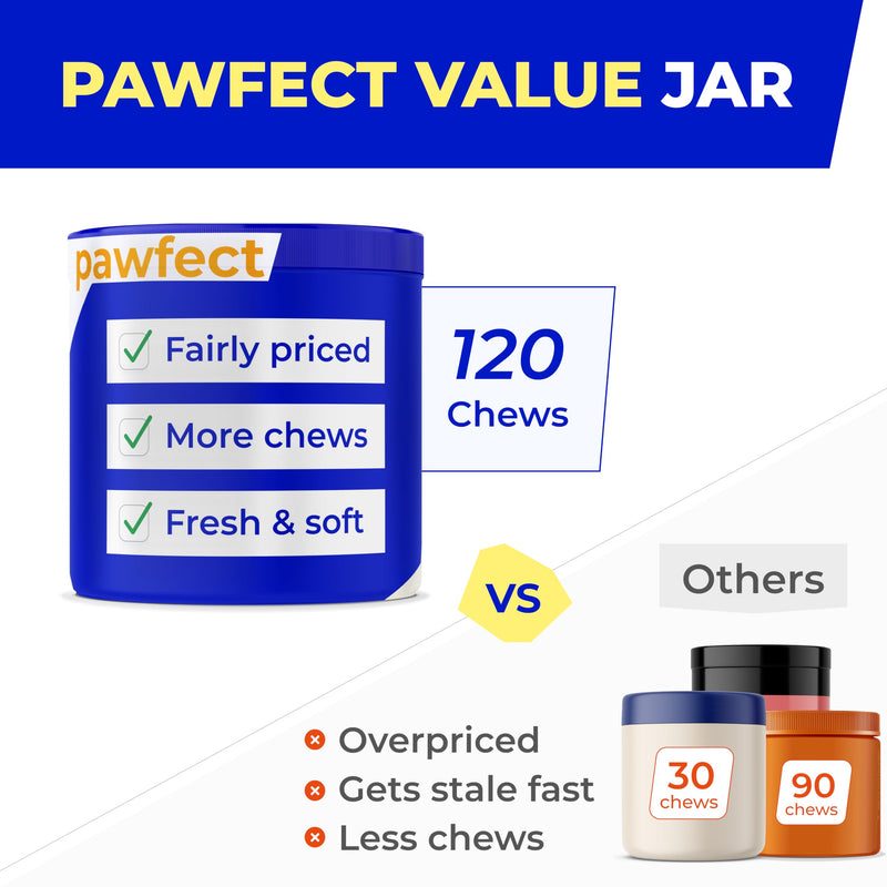 Vet Approved Probiotics & Digestive Enzymes for Dogs | Gut Health & Digestive Function Support | Pumpkin & Omega | Diarrhea, Seasonal Allergies & Itching | Prebiotic Supplement Chews Probiotics & Enzymes 120 Digestive Chews - BeesActive Australia