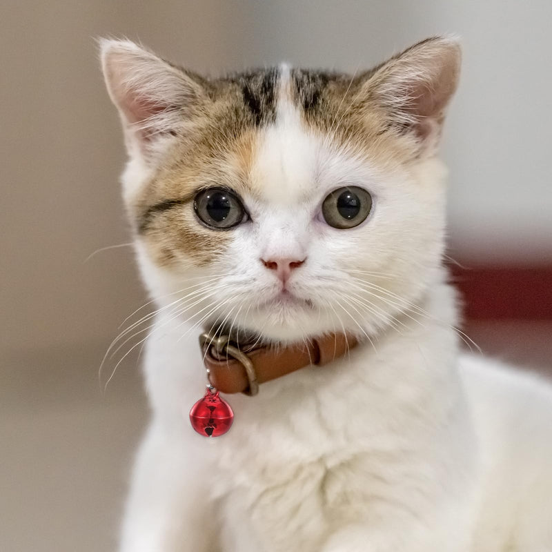 10 Pcs Cat Collar Bells, Colourful Bells with Clasps, Jingle Bells for Cat Collar, Pet Collar Bell Accessories, Dog Collar Bell Charms, 1.4cm Bells for DIY Crafts Decoration - BeesActive Australia