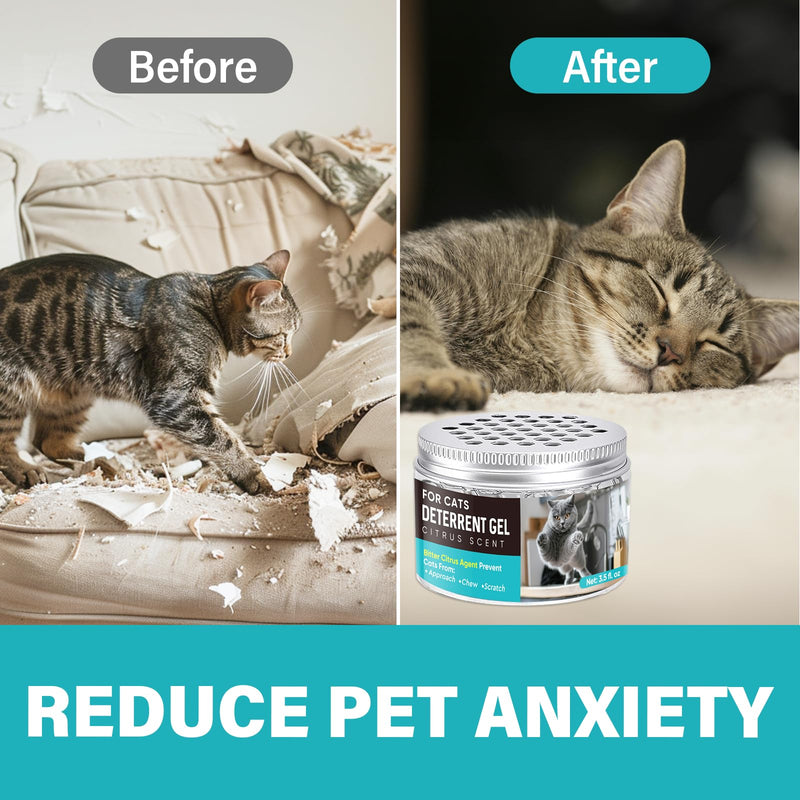 Cat Deterrent Gel, Cat Repellent Indoor, Cat Scratch Deterrent for Pet Behavior Training, Prevent Cats Scratching Furniture, Sofas, Curtains & Plants - BeesActive Australia
