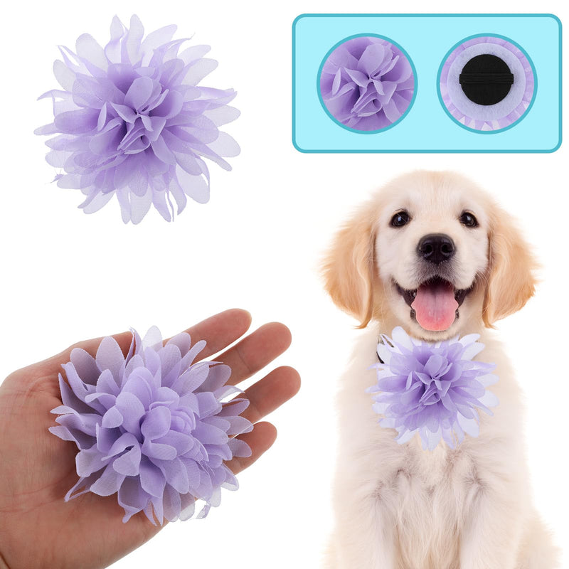 8 Pcs Dog Collar Flowers Pet Collar Flowers Dog Collar Charms Dog Bows Girl Dog Accessories Dog Bows with Rubber Bands - BeesActive Australia