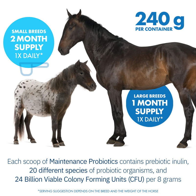 HealthyGut™ Probiotics for Horses Dietary Supplement, All-Natural Digestive System Maintenance Formula (30 Days) 30 Servings (Pack of 1) - BeesActive Australia