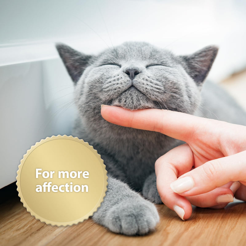 Felisept Home Comfort Cat Calming Refill 45ml - With natural catnip & no pheromone cat - Cat plug in calmer - Reduce undesirable behaviour & stress Home Refill Bottle