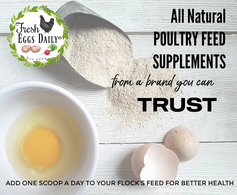 Fresh Eggs Daily Brewer's Yeast with Garlic Powder and Niacin for Ducks Ducklings Feed Supplement Vitamins for Backyard Chickens 1LB 1 Pound (Pack of 1) - BeesActive Australia