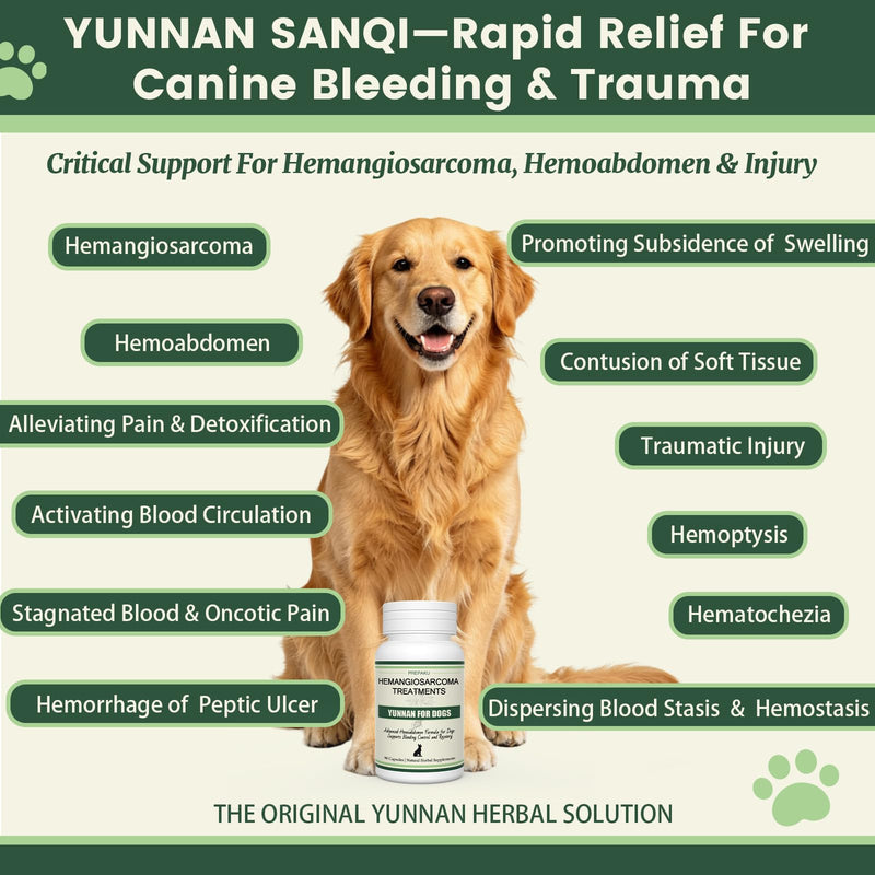 Quick Stop Bleeding for Dogs, Natural Yunnan Sanqi Capsules for Hemangiosarcoma, Hemoabdomen, Pericardial Effusion, Cancer Bleeding, Severe Bruising, Ulcer-Related Bleeding, Bloody Stools-90 Capsules