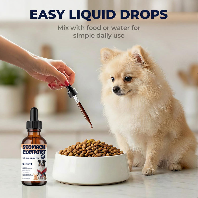 Dog Upset Stomach Relief Liquid Drops, Sensitive Stomach Support for Dogs & Small Pets, Helps Maintain Gut Balance, Occasional Diarrhea, Gas & Constipation Support, 2 fl oz