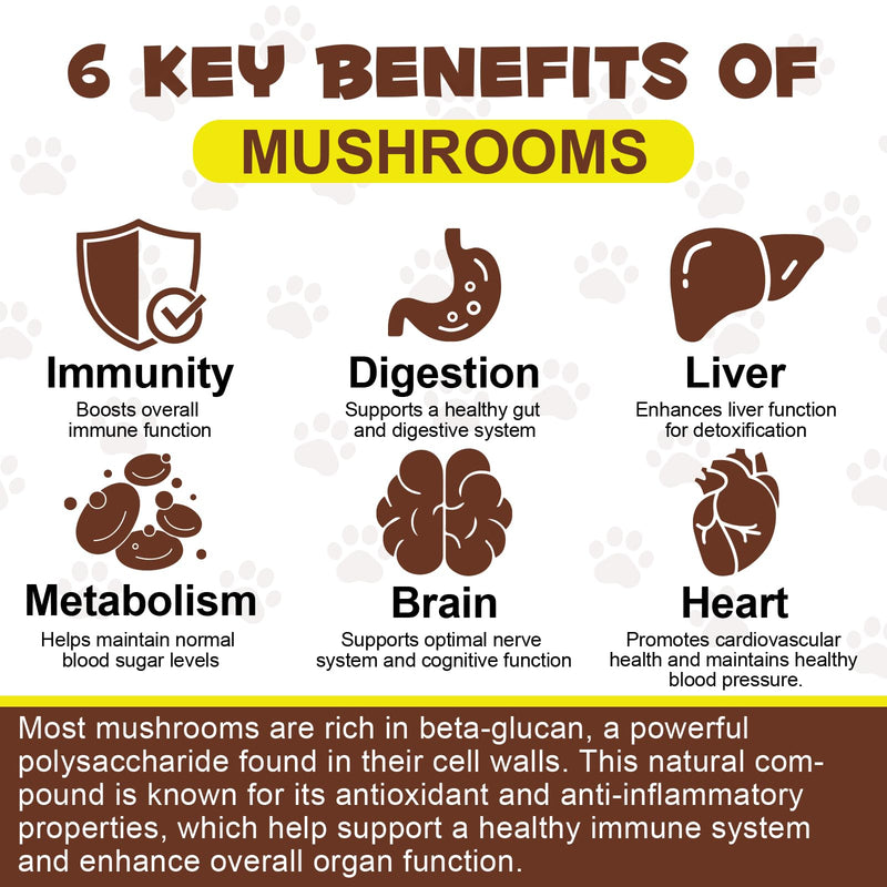Mushroom Powder for Dogs, Wild Mushroom Supplement for Cats, Dog Multivitamin, Mushroom Supplement for Dogs, Boosting Immunity, Gut Digestion, Easy To Absorbed 4.23 OZ