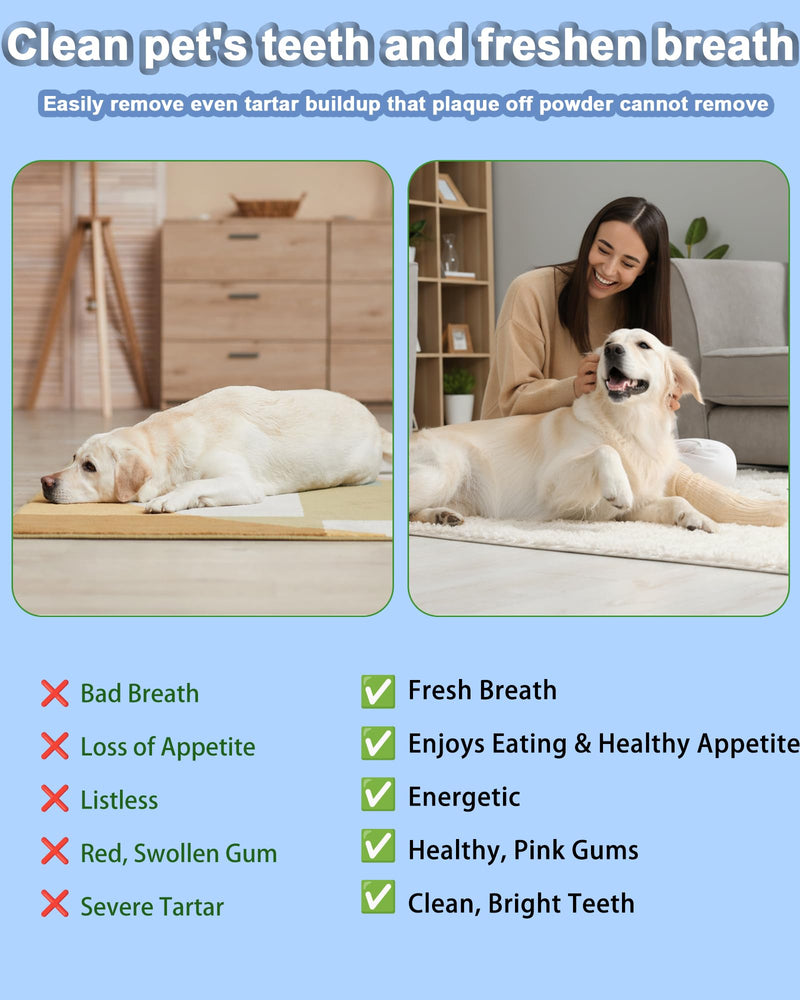 Stim-U-Dent Dog Plaque Remover for Teeth, Pet Teeth Cleaning Products for Tartar & Plaque Off, with LED-Light, Dog Toothbrush for Dental Care, Finger Toothbrush Black 1 count (Pack of 1)