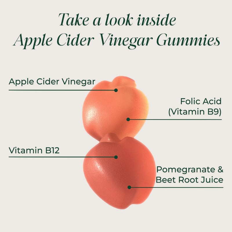 Primal Harvest ACV Gummies, 60 Sugar Free Apple Cider Gummies Beetroot and Pomegranate to Support Immunity, Digestion and Detox 750 MG 1