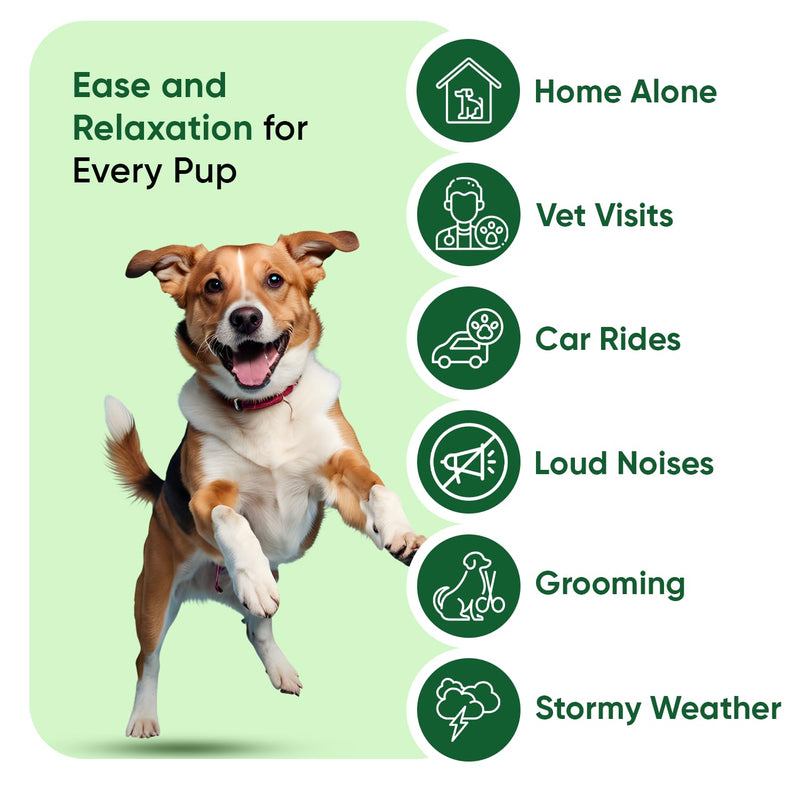 Hemp Oil for Dogs 60ml - Pure, Natural & Cold-Pressed - Dog Calming Products for Loud Noises, Car Rides & Home Alone Time - Rich in Omega 3, 6 & 9 - Dog Calming Drops for Skin, Coat, Bones & Joints
