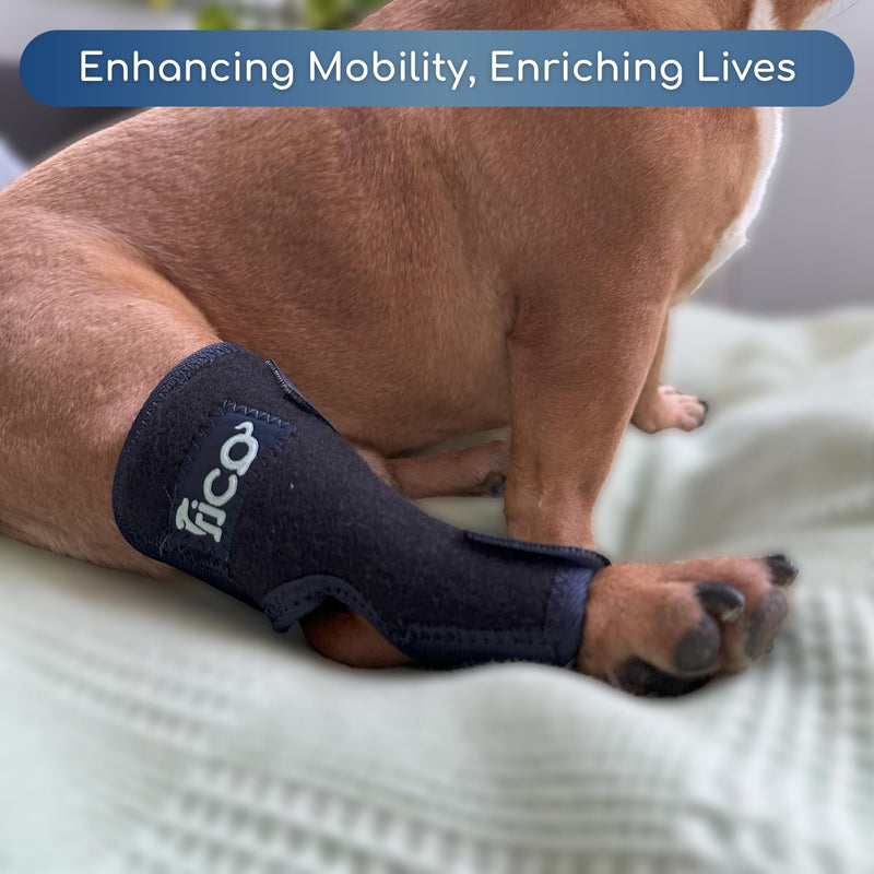 Dog Hock Brace for Ankle Support & Arthritis, Vet Approved Dog Back Leg Brace, Adjustable with Removable Splints, Orthopedic Support for Injuries, Sprains & Post-Surgery Recovery (X Small) X Small